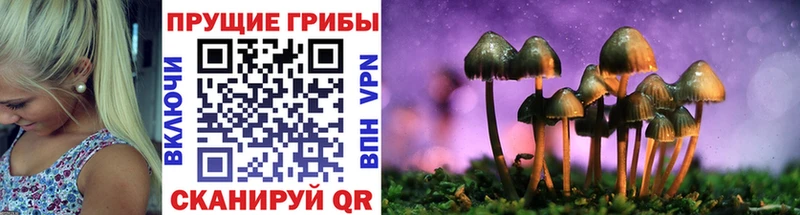 ОМГ ОМГ ССЫЛКА  Находка  Галлюциногенные грибы Psilocybine cubensis 