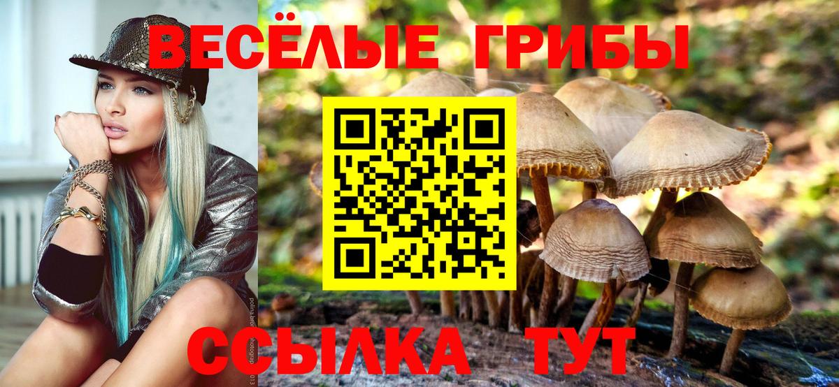 Находка  Псилоцибиновые грибы MAGIC MUSHROOMS  Псилоцибиновые грибы MAGIC MUSHROOMS  Вход с VPN 